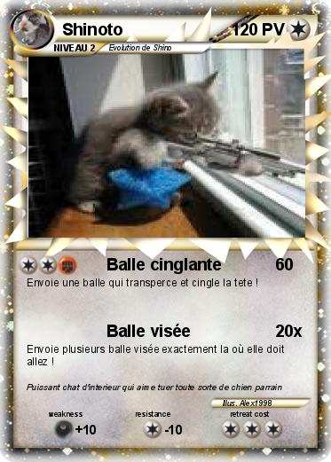 Pokemon Shinoto