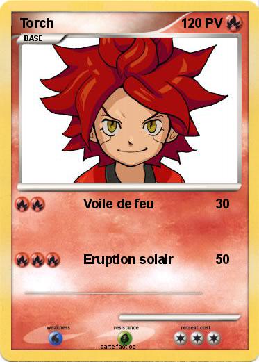 Pokemon Torch