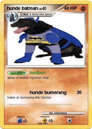 Pokemon hunde batman
