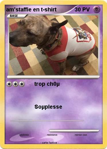 Pokemon am'staffie en t-shirt