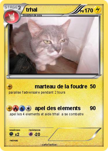Pokemon trhal
