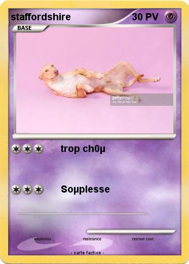 Pokemon staffordshire