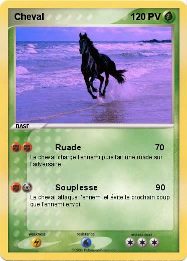 Pokemon Cheval