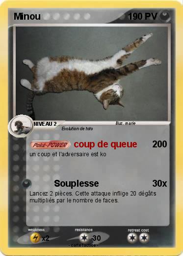 Pokemon Minou