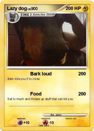 Pokemon Lazy dog