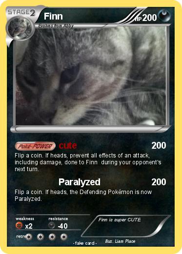 Pokemon Finn