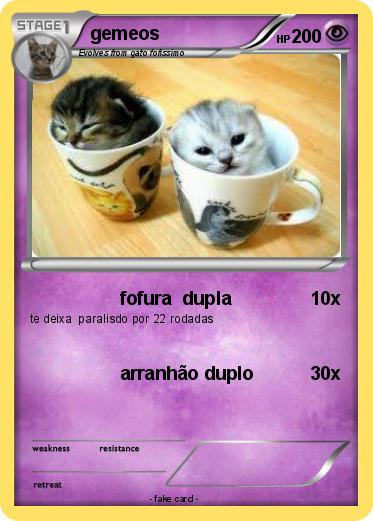 Pokemon gemeos