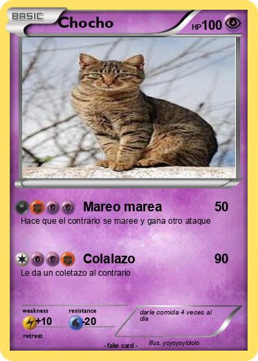 Pokemon Chocho