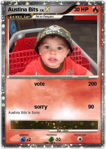 Pokemon Austina Bits