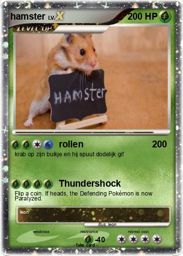 Pokemon hamster