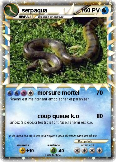 Pokemon serpaqua