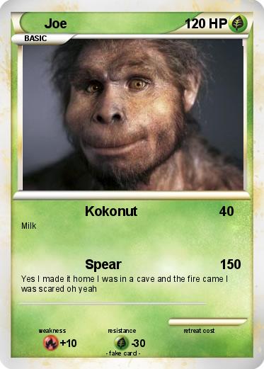 Pokemon Joe