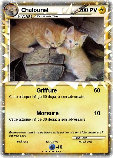 Pokemon Chatounet