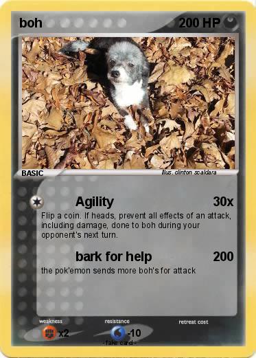 Pokemon boh