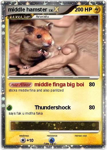 Pokemon middle hamster