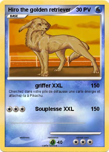 Pokemon Hiro the golden retriever