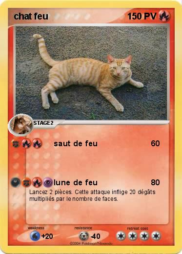 Pokemon chat feu