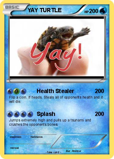 Pokemon YAY TURTLE