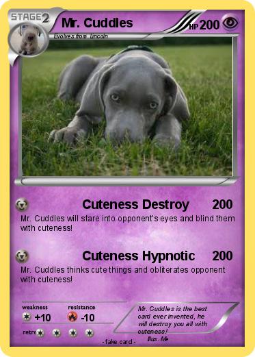 Pokemon Mr. Cuddles