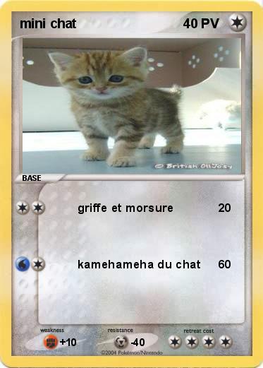 Pokemon mini chat 