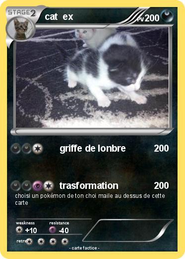 Pokemon cat  ex