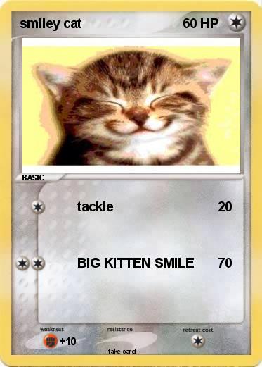 Pokemon smiley cat