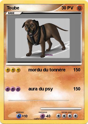 Pokemon Toube