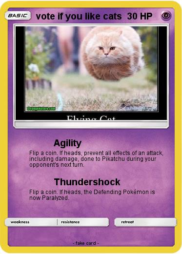 Pokemon vote if you like cats