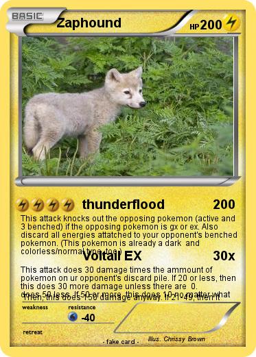 Pokemon Zaphound