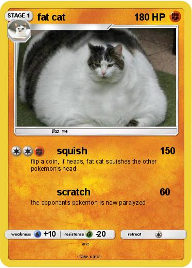 Pokemon fat cat
