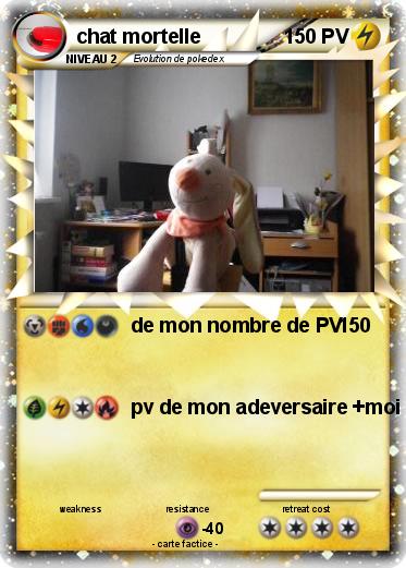 Pokemon chat mortelle