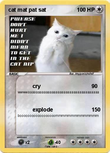Pokemon cat mat pat sat