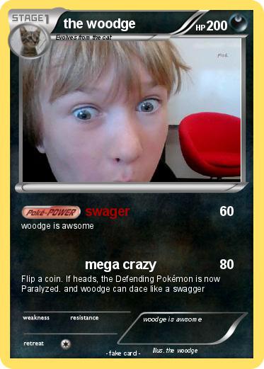 Pokemon the woodge