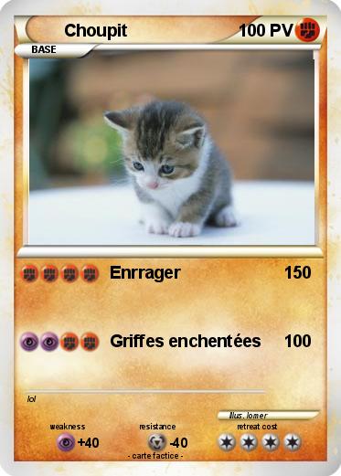 Pokemon Choupit