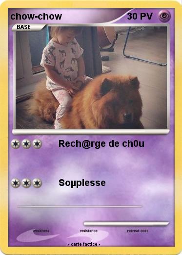Pokemon chow-chow