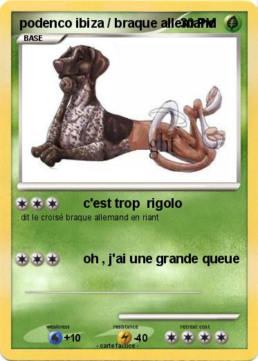 Pokemon podenco ibiza / braque allemand
