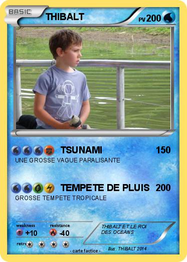 Pokemon THIBALT