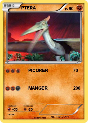 Pokemon PTERA