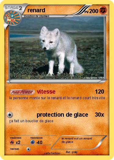 Pokemon renard