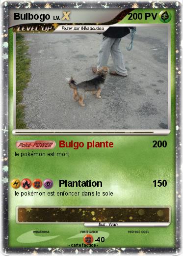 Pokemon Bulbogo