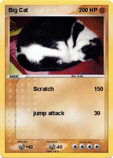 Pokemon Big Cat