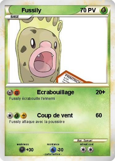 Pokemon Fussily