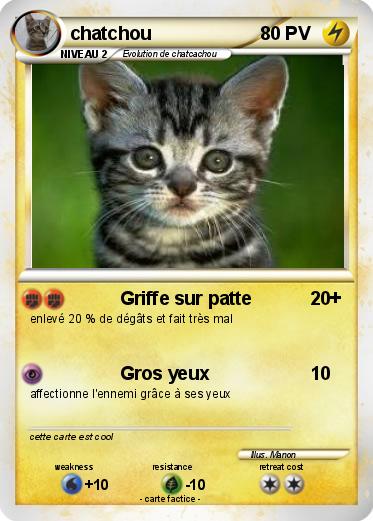 Pokemon chatchou