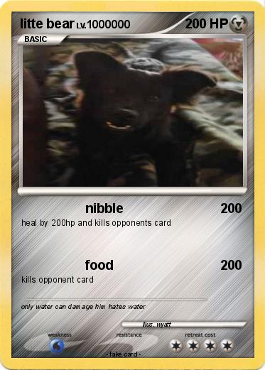 Pokemon litte bear
