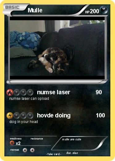 Pokemon Mulle