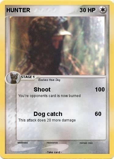 Pokemon HUNTER