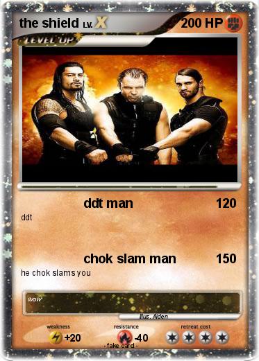 Pokemon the shield