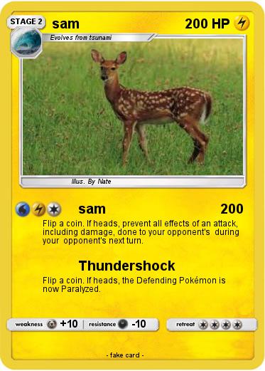 Pokemon sam