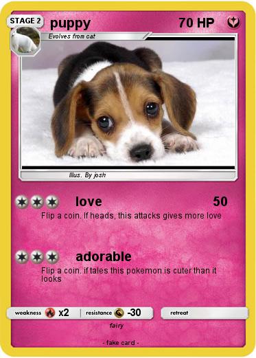 Pokemon puppy
