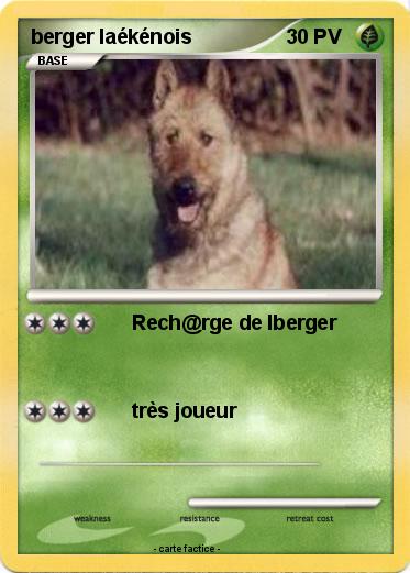 Pokemon berger laékénois